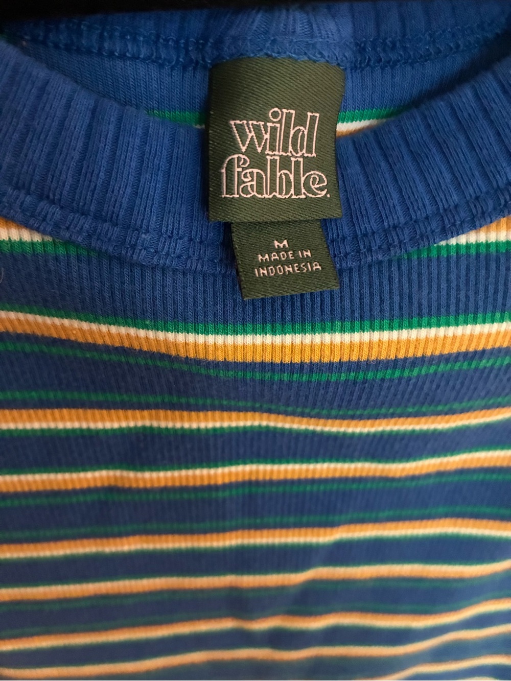 wild fable Blue Striped Ribbed Tank with Yellow & Green Accents - Picture 2 of 3